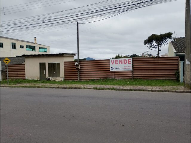 Imagem 5