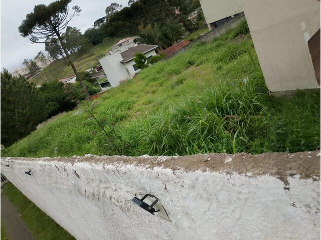 Imagem 6