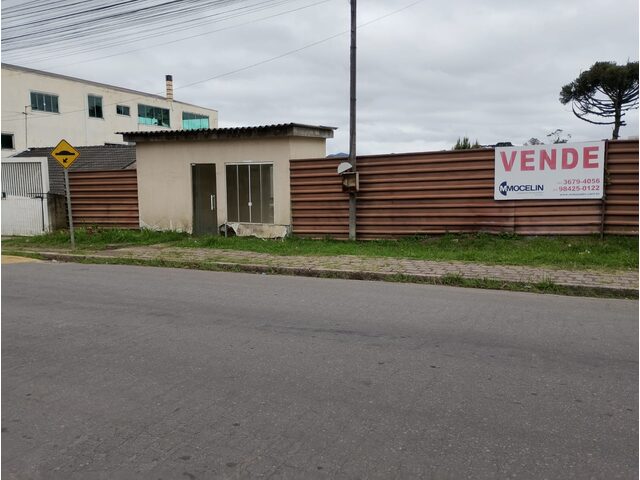 Imagem 3