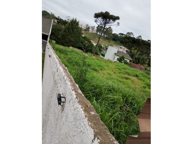 Imagem 4